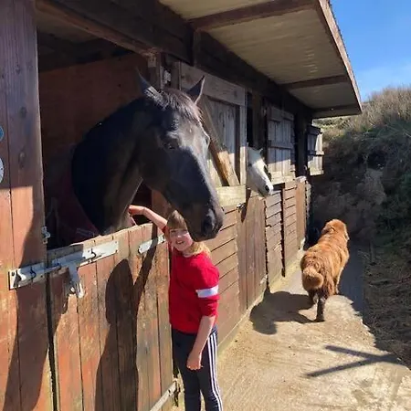 Letterfrack On Equestrian Farm In Letterfrack Beside Connemara National Park 別荘 Tullywee Bridge