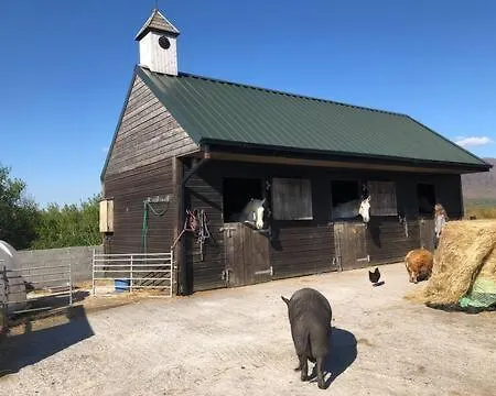 Letterfrack On Equestrian Farm In Letterfrack Beside Connemara National Park