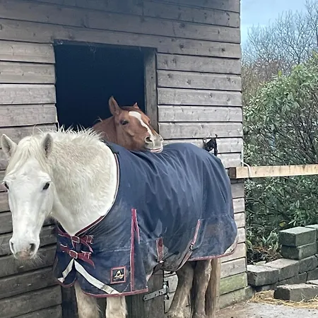 Letterfrack On Equestrian Farm In Letterfrack Beside Connemara National Park 別荘 *