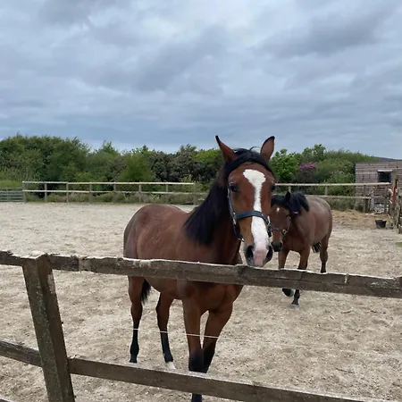 別荘 Letterfrack On Equestrian Farm In Letterfrack Beside Connemara National Park