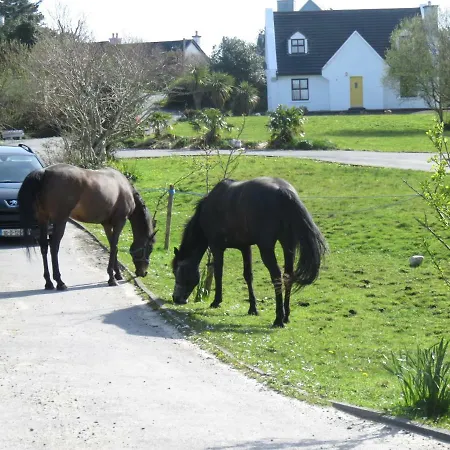 Nyaraló Letterfrack On Equestrian Farm In Letterfrack Beside Connemara National Park
