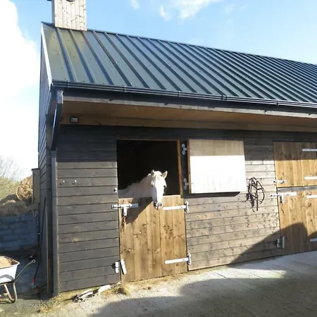 Letterfrack On Equestrian Farm In Letterfrack Beside Connemara National Park *