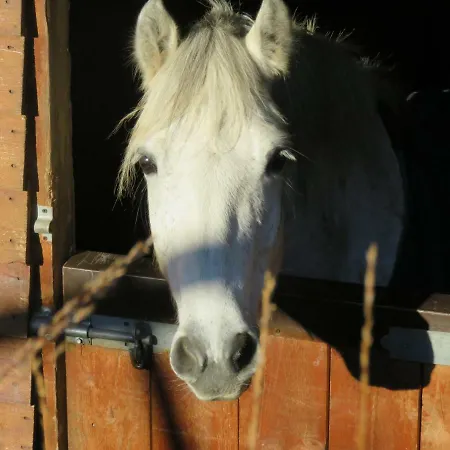 Letterfrack On Equestrian Farm In Letterfrack Beside Connemara National Park Nyaraló Tullywee Bridge